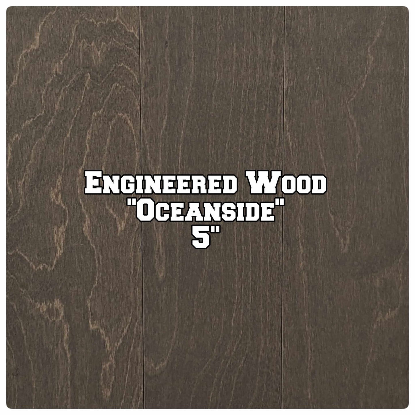 421895345_940651504429614_88381304777625091_n - Copy.jpg