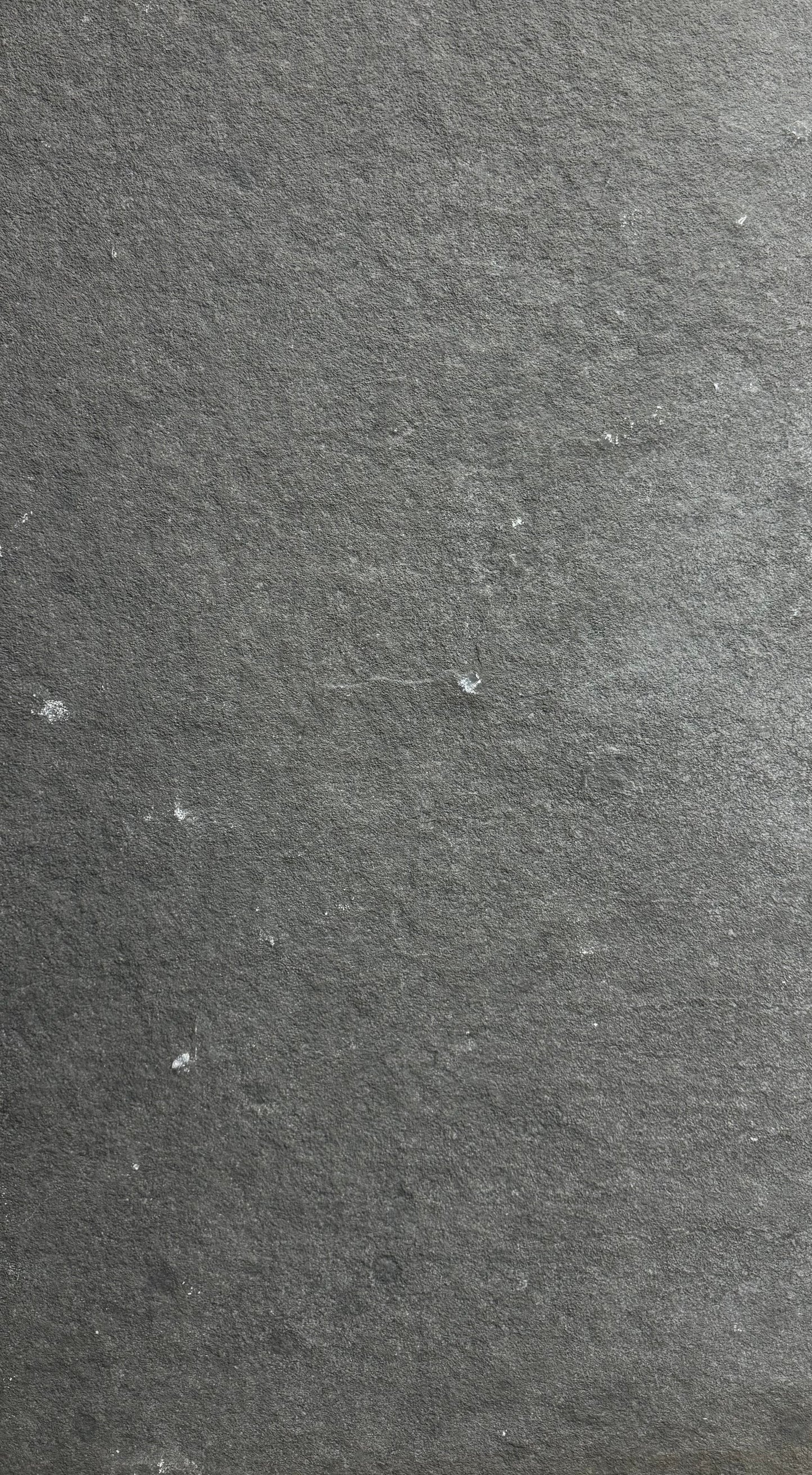 PAVER - 24X48 MYSTIC GRAY NAT 1.25" - Bargain Build