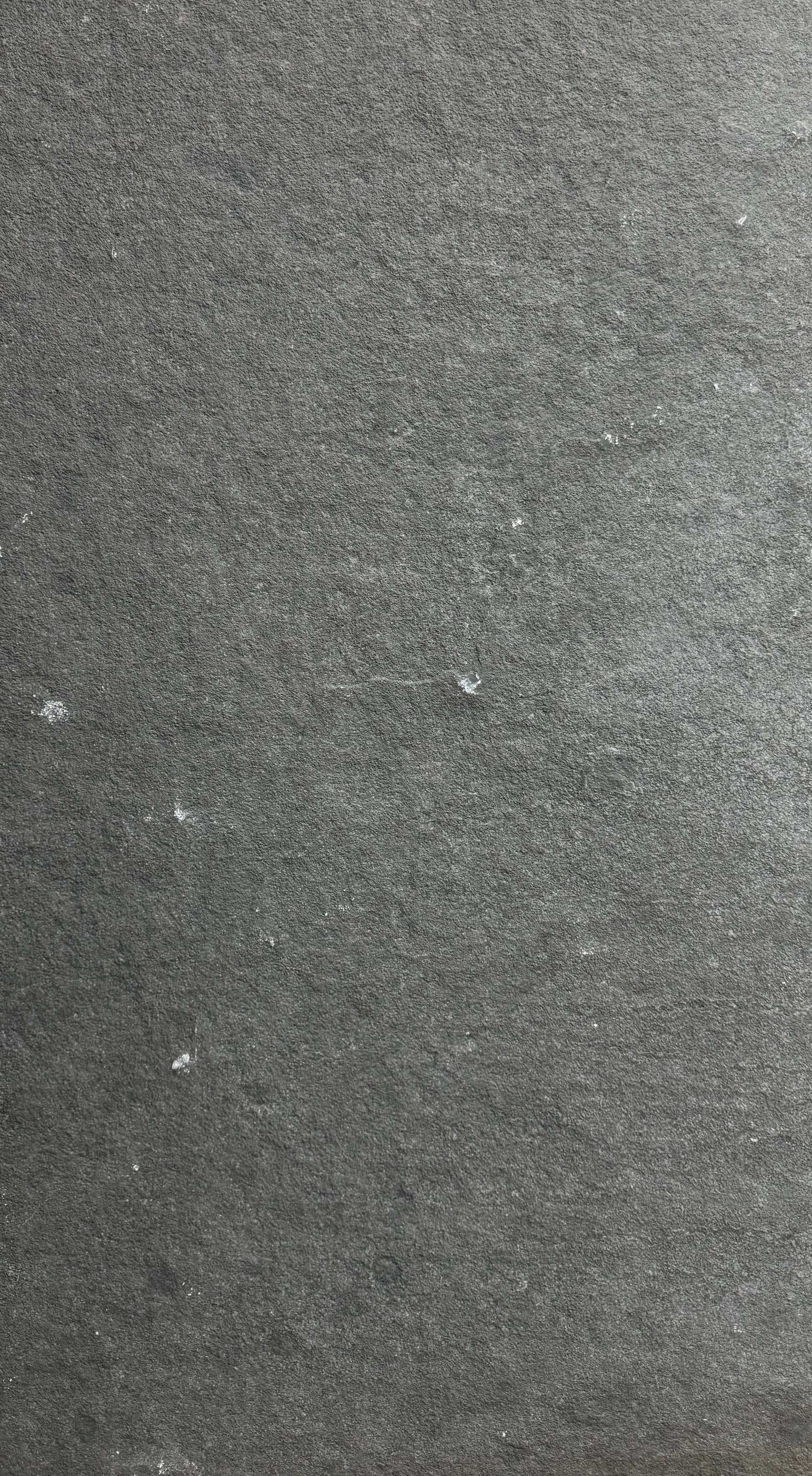 PAVER - 24X48 MYSTIC GRAY NAT 1.25" - Bargain Build